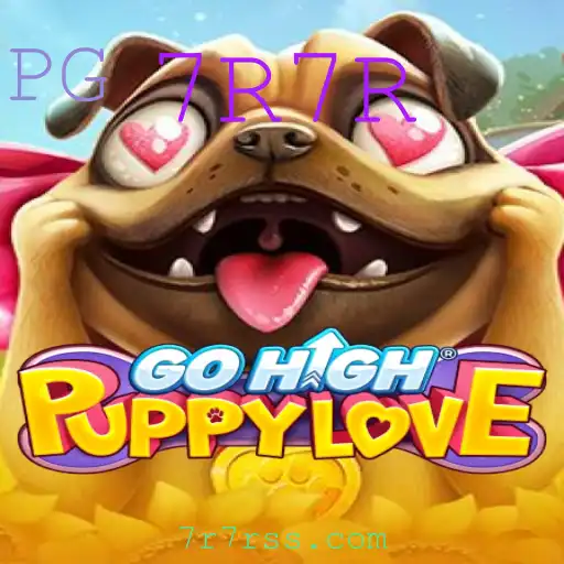 Descubra o Mundo Encantador de GoHighPuppyLove