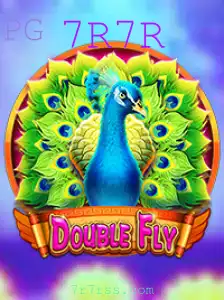 Descubra o Mundo do Jogo 'DoubleFly' e Seus Desafios Únicos